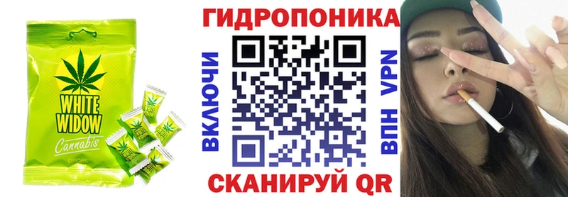 darknet телеграм  Городовиковск  Canna-Cookies конопля  дарнет шоп 