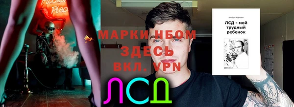ГАЛЛЮЦИНОГЕННЫЕ ГРИБЫ Белокуриха