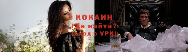 ГАЛЛЮЦИНОГЕННЫЕ ГРИБЫ Белокуриха