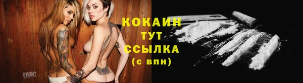 ГАЛЛЮЦИНОГЕННЫЕ ГРИБЫ Белокуриха