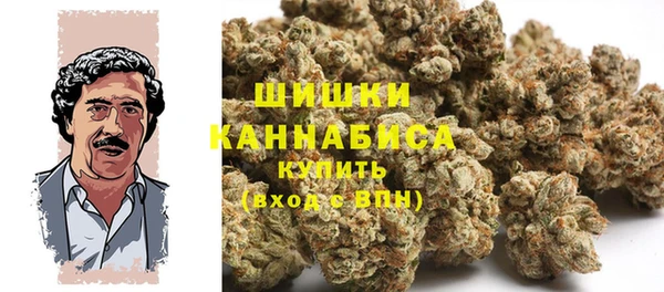 ГАЛЛЮЦИНОГЕННЫЕ ГРИБЫ Белокуриха