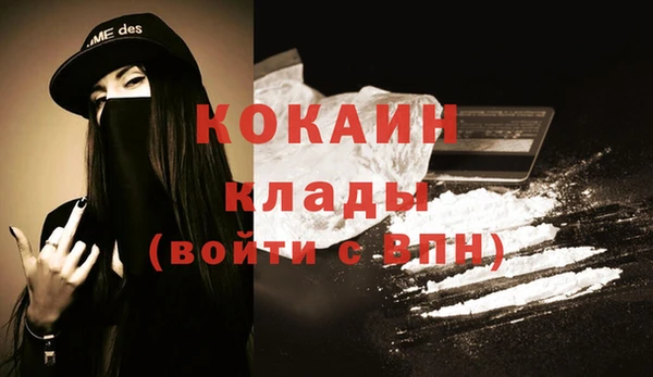 ГАЛЛЮЦИНОГЕННЫЕ ГРИБЫ Белокуриха