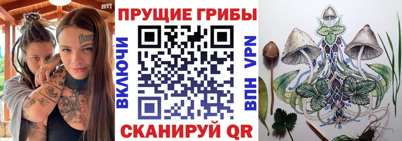 наркошоп  Городовиковск  Псилоцибиновые грибы мицелий 