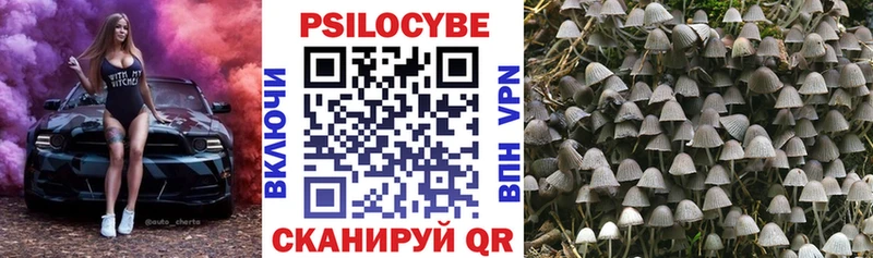 Галлюциногенные грибы мухоморы Городовиковск